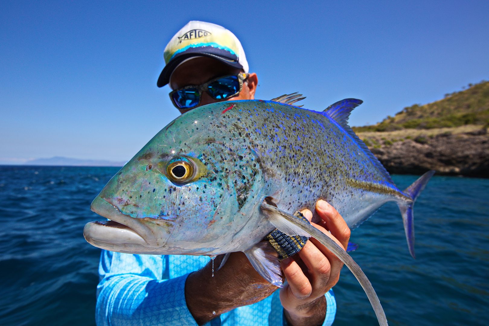 Lirang & Wetar Islands Indonesia June 2016 Bloodydecks